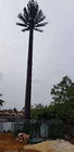 Getarnter Kommunikations-Kiefern-Palme-Turm 0m - 80m Höhe