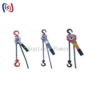Heavy Duty Chain Type Handle Hoist with 5-90KN Rated Load 1.5M Lifting Height and 1-3 Row Lifting Chain for Power Plant Maintenance
