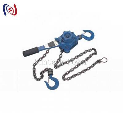 Heavy Duty Chain Type Handle Hoist with 5-90KN Rated Load 1.5M Lifting Height and 1-3 Row Lifting Chain for Power Plant Maintenance