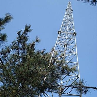 4 antennenmast Q345 Q235 mit Beinen versehener selbsttragender Röhrenstahl-3