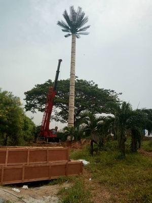 Heißes Bad Palme-Monopole Stahlturm Disguized galvanisierte